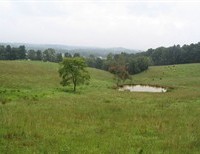 The Font in the Fields: The Liturgical Movement Alive in Rural Kentucky