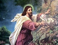 Trusting in God Completely