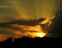 Allowing the Grace of God