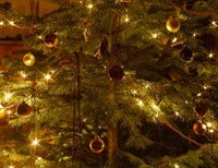 Baby Jesus, Thor, and the Origin of the Christmas Tree