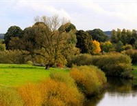 Care of Creation:  A Catholic's Guide to God's Natural Abundance