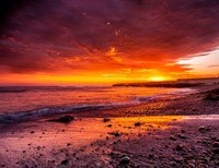 The Last Day On Earth
