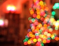40 Days of Christmas