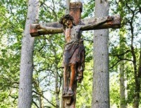 Why Am I Catholic?