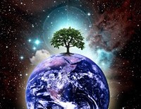 Earth Camp