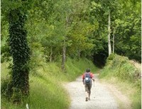 Looking for Christ on the Camino