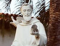 Those Dang Franciscans!