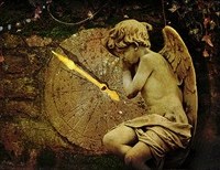 Get to Know Your Guardian Angel